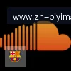 B体育 logo